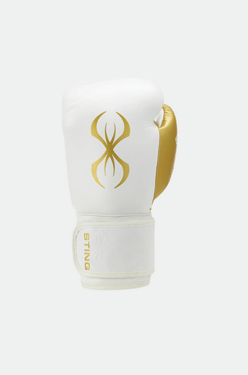 Evolution Boxhandschuhe